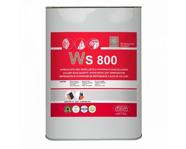 WS800